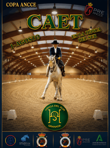 🗓️1 De agosto CAET COPA ALTA ESCUELA HÍPICA DEL SUR. Team Pyramid, instalaciones La Hípica del Sur, Granada.