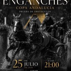 🗓️25 De julio X CONCURSO DE ENGANCHES CAT. C.H. Círculo del Caballo de Pozoblanco, Pozoblanco (Córdoba).