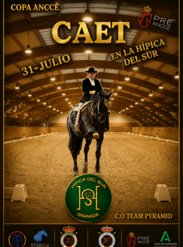 🗓️31 De julio CAET COPA ANCCE ALTA ESCUELA. La Hípica del Sur, Granada.