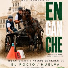 🗓️7 De agosto CAT PRUEBA DE OBSTÁCULOS DE ENGANCHES «EL ROCÍO». Club de Enganches del Huelva «J. Morón», El Rocío (Huelva).