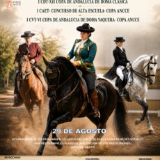 🗓️29 de agosto Concurso Doma Vaquera CVT-COPA ANCCE – Centro Ecuestre «Las Viñas», Torredonjimeno, Jaen