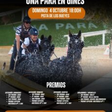 🗓️4 De octubre CAT PRUEBA DE OBSTÁCULOS «GINES». Club de Enganches de Huelva «J. Morón», Gines (Sevilla).