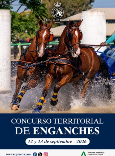 🗓️Del 12 al 13 de septiembre CAT CONCURSO COMPLETO DE ENGANCHES. Real Club Pineda de Sevilla, Sevilla.