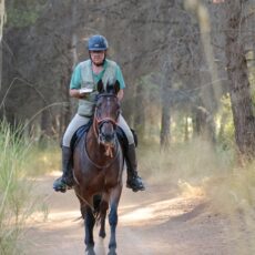 Campeonato del Mundo de TREC (Técnicas de Rutas Ecuestres de Competición), celebrado del 2 al 5 de septiembre de 2026 en Viladecans (Barcelona).