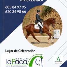 🗓️26 De septiembre CDT XII COPA DE ANDALUCÍA DOMA CLÁSICA, PARALÍMPICA, PONIS Y AMAZONAS. C.D. Hípica La Paca, Benagalbón (Málaga).
