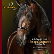 🗓️12 De septiembre CVT VI COPA DE ANDALUCÍA DOMA VAQUERA – COPA ANCCE – ANDUCAB 2026. Ayuntamiento de Andújar, Andújar (Jaén).