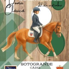 🗓️27 de septiembre CDT XII COPA DE ANDALUCÍA DOMA CLÁSICA, PARALÍMPICA, PONIS Y AMAZONAS. Dressage Sotogrande Club, Sotogrande (Cádiz).