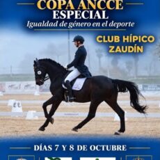 🗓️Del 7 al 8 de octubre CDN 2* COPA ANCCE ESPECIAL  – IGUALDAD DE GÉNERO EN EL DEPORTE DIPUTACIÓN DE SEVILLA. Federación Andaluza de Hípica, instalaciones C.H. Zaudín, Bormujos (Sevilla).