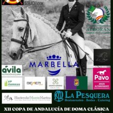🗓️13 de septiembre CDT XII COPA DE ANDALUCÍA DOMA CLÁSICA, PARALÍMPICA, PONIS Y AMAZONAS MARBELLA DRESSAGE. Caballos de Pura Raza Española, Marbella (Málaga).