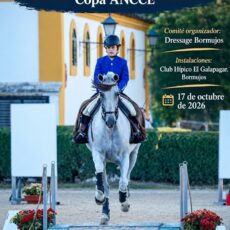 🗓️17 De octubre EQTRTE CONCURSO DE EQUITACIÓN DE TRABAJO «VI CONCURSO HÍPICO VILLA DE BORMUJOS». Dressage Bormujos, instalaciones C.H. El Galapagar, Bormujos (Sevilla).