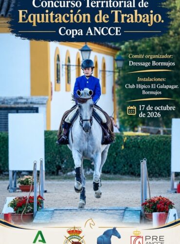🗓️17 De octubre EQTRTE CONCURSO DE EQUITACIÓN DE TRABAJO «VI CONCURSO HÍPICO VILLA DE BORMUJOS». Dressage Bormujos, instalaciones C.H. El Galapagar, Bormujos (Sevilla).