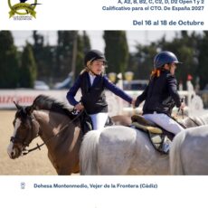 🗓️Del 17 al 18 CSNP1 CONCURSO DE PONIS NACIONAL «COPA CAMPEONES». C.D. Equs Caballus, instalaciones Dehesa Montenmedio, Vejer de la Fra. (Cádiz).