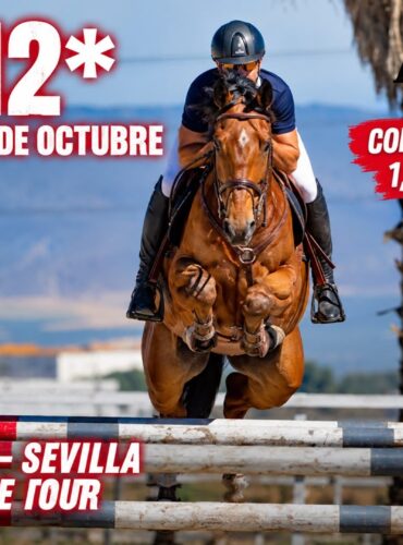 🗓️Del 23 al 25 de octubre CSN 2* SHOT CARMONA. Avanza Eventos Hípicos, S.L., Carmona (Sevilla).