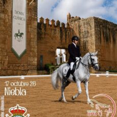 🗓️17 De octubre CDT XII COPA DE ANDALUCÍA DOMA CLÁSICA, PARALÍMPICA, PONIS Y AMAZONAS. C.H. Mariano Orta, Niebla (Huelva).