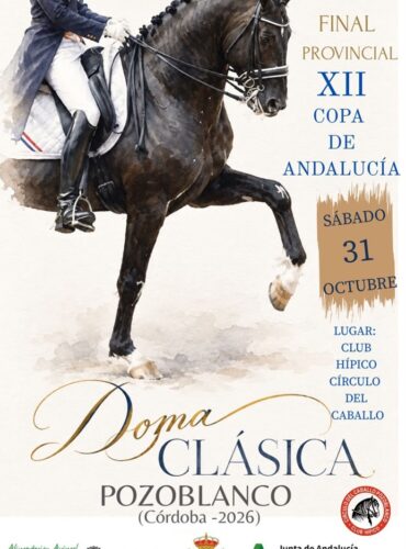 🗓️31 De octubre CDT FINAL XII COPA DE ANDALUCÍA DOMA CLÁSICA, PARALÍMPICA, PONIS Y AMAZONAS – FINAL PROV. CÓRDOBA. C.H. Círculo del Caballo de Pozoblanco, Pozoblanco (Córdoba).