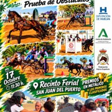 🗓️17 De octubre FINAL COPA DE ANDALUCÍA PRUEBA DE OBSTÁCULOS «SAN JUAN DEL PUERTO» CAT PRUEBA DE OBSTÁCULOS. C.D. de Enganches Interprovincial Córdoba-Jaén-Granada, San Juan del Puerto (Huelva).