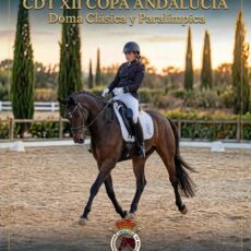 🗓️24 De octubre CDT XII COPA DE ANDALUCÍA DOMA CLÁSICA, PARALÍMPICA, PONIS Y AMAZONAS. Dressage Bormujos, instalaciones C.H. El Galapagar, Bormujos (Sevilla).