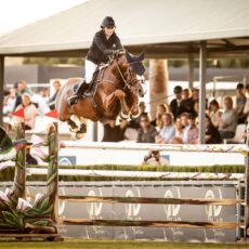 🗓️Del 23 al 25 de octubre CSI 1* – 1st WEEK VI ANDALUCÍA OCTOBER TOUR 2026. Dehesa Montenmedio, Vejer de la Fra. (Cádiz).