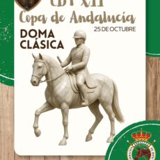 🗓️25 De octubre CDT XII COPA DE ANDALUCÍA DOMA CLÁSICA, PARALÍMPICA, PONIS Y AMAZONAS. Dressage Sotogrande, Sotogrande (Cádiz).